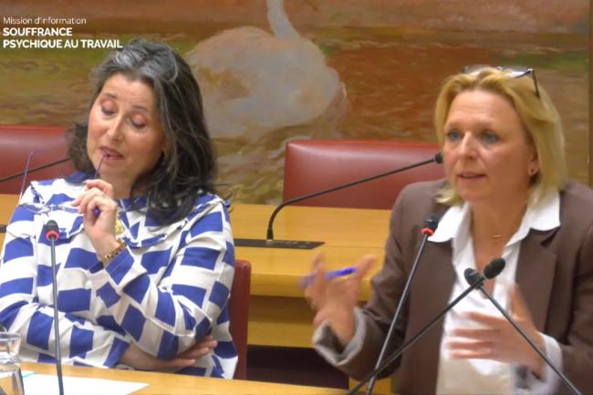 Brigitte Vaudolon, vice-présidente de la Firps, et Isabelle Tarty, présidente de la Firps, au Sénat, le 25 mars 2026. © Capture d'écran / Sénat