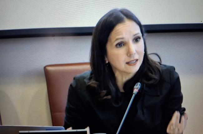 Karine Lebon (groupe Gauche démocrate et républicaine, Réunion), hier à l'Assemblée nationale